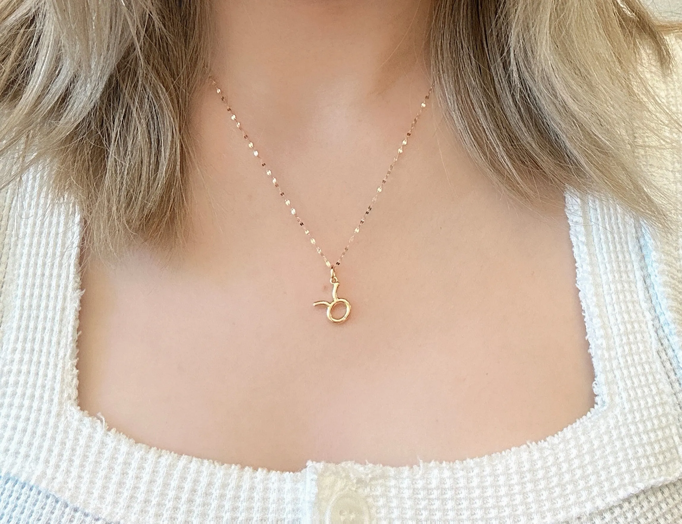 Amare Wear Horoscope Zodiac Sign Taurus Necklace