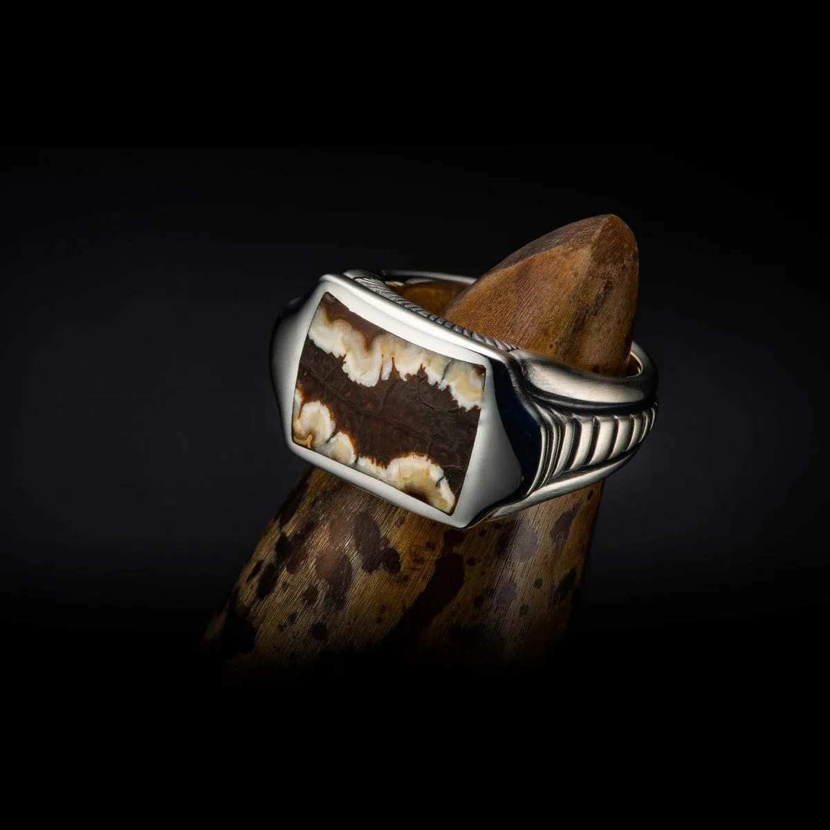 Men's Sleek Mammoth Tooth Ring - Ring 8 MT